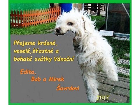 Foto 20